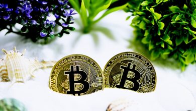 Best Trusted Cloud Mining Companies