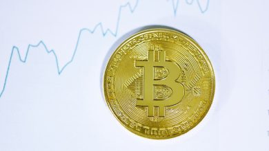 Cryptocurrency Market Insights Navigating the Future