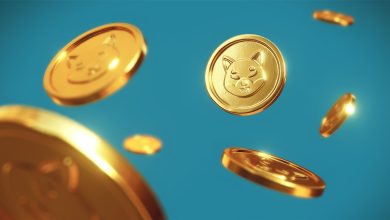 Dogecoin News Current Price, Trends, and Insights