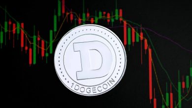 How Exchange Listings Delistings Affect DOGE Price