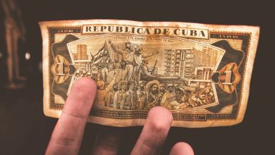 How Halving Events Shape Crypto Market Analysis