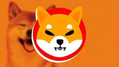 How Shiba Inu Is Competing Against Dogecoin in 2026