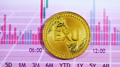 How to Choose Profitable Cryptocurrencies for Trading