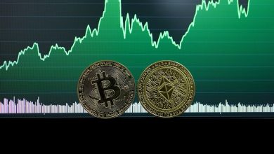 How to Trade in a Bull Market Crypto