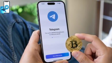 Top 10 Best Crypto Telegram Channels You Need to Follow in 2026